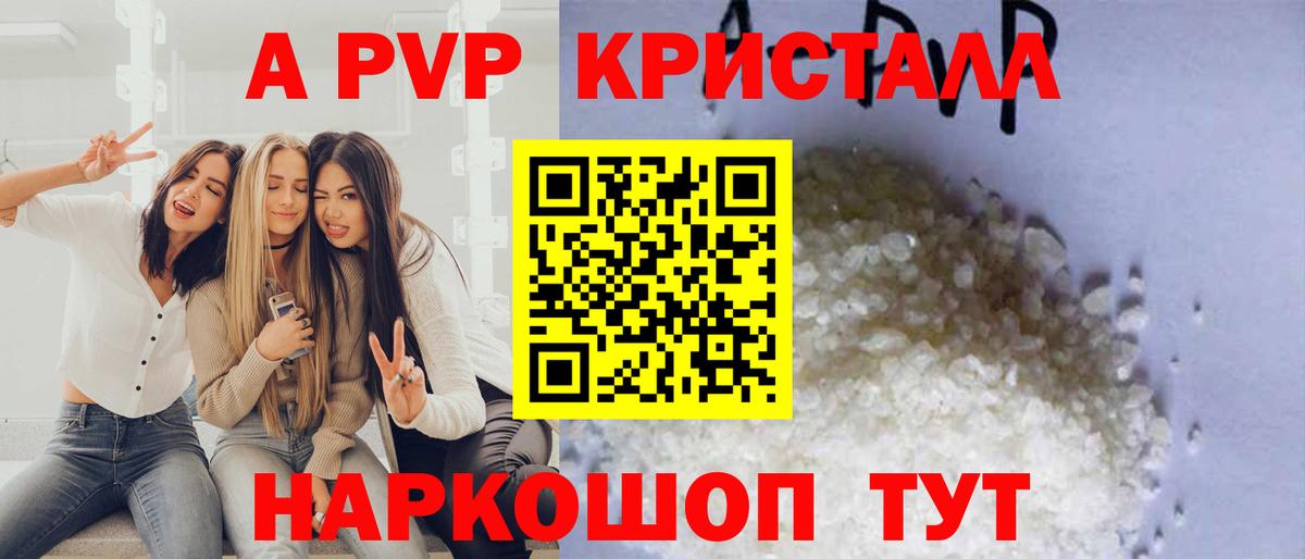 A-PVP СК КРИС Нижнекамск