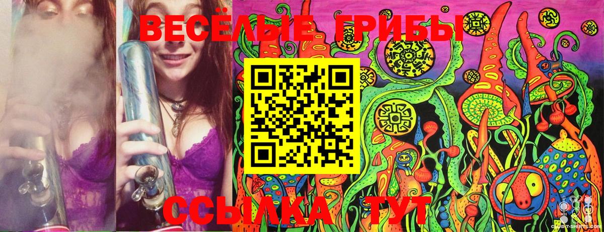 Псилоцибиновые грибы GOLDEN TEACHER  Вход с VPN  Нижнекамск 